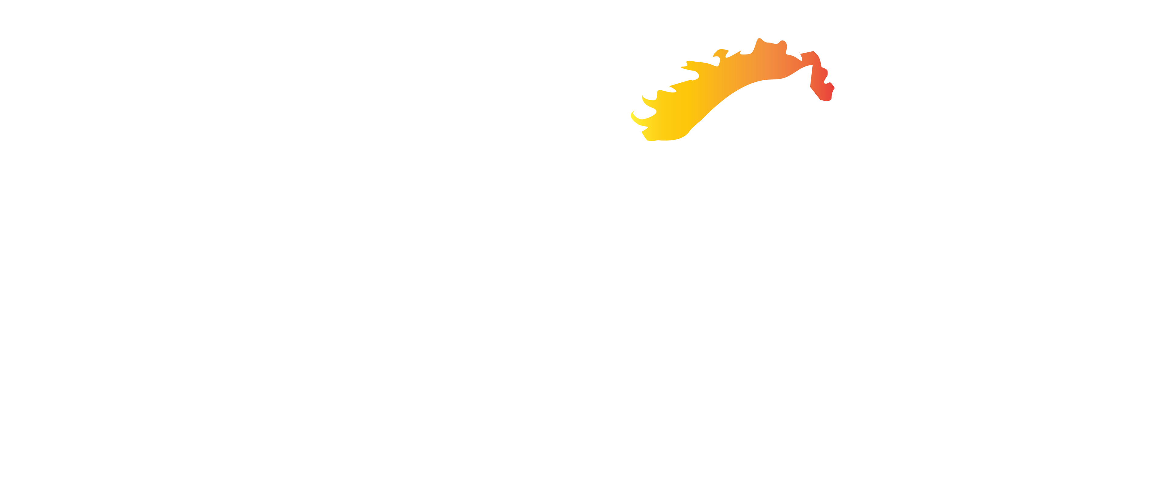 Pony Express Imports
